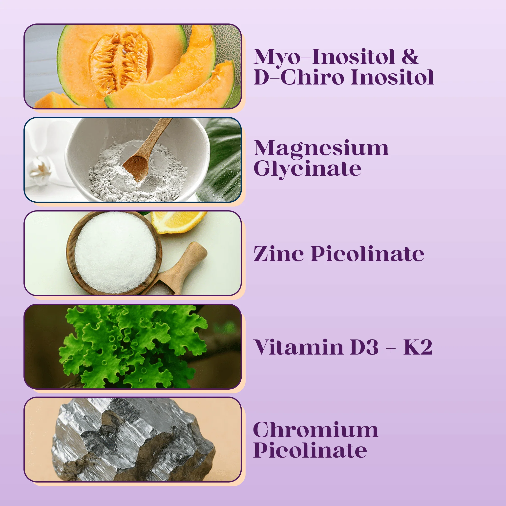 Daily Essentials Kit - Image 12