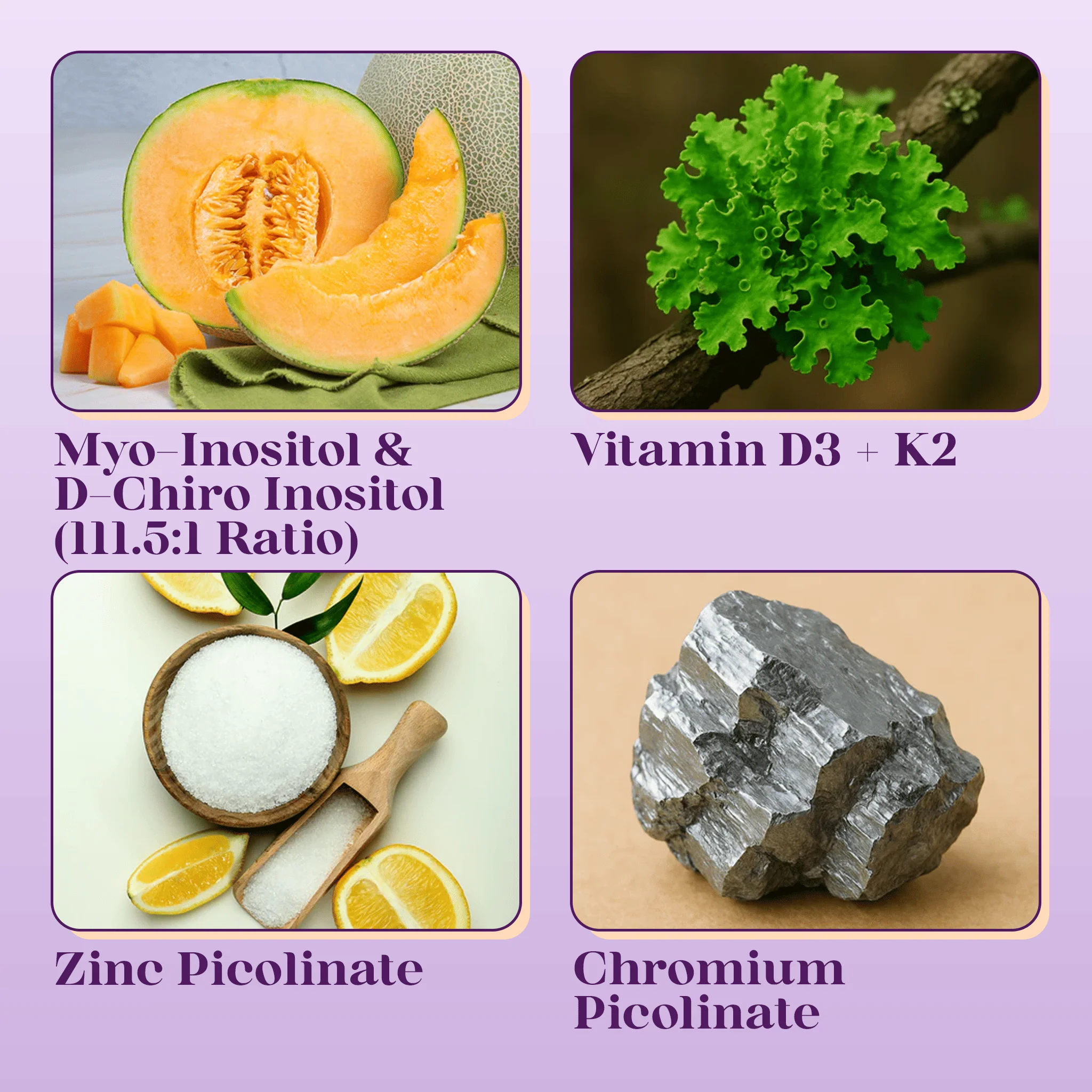 Inositol Infusion Plus - Women's Wellness Blend - Image 10