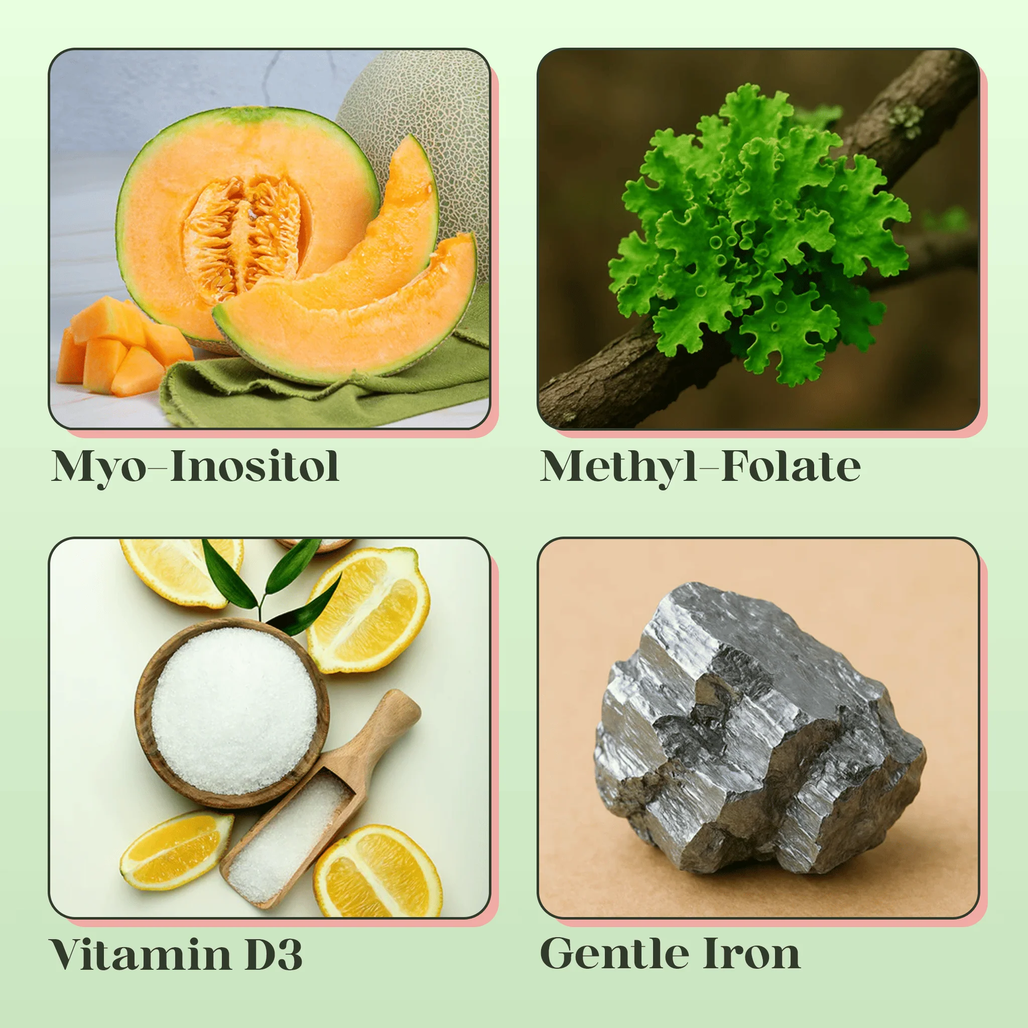 Pregnancy Formula — Pre & Post-Natal Nutritional Support - Image 5